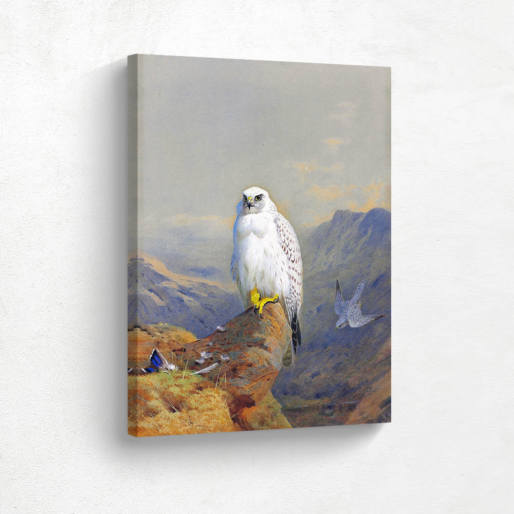 A Greenland Falcon on a Rocky Outcrop