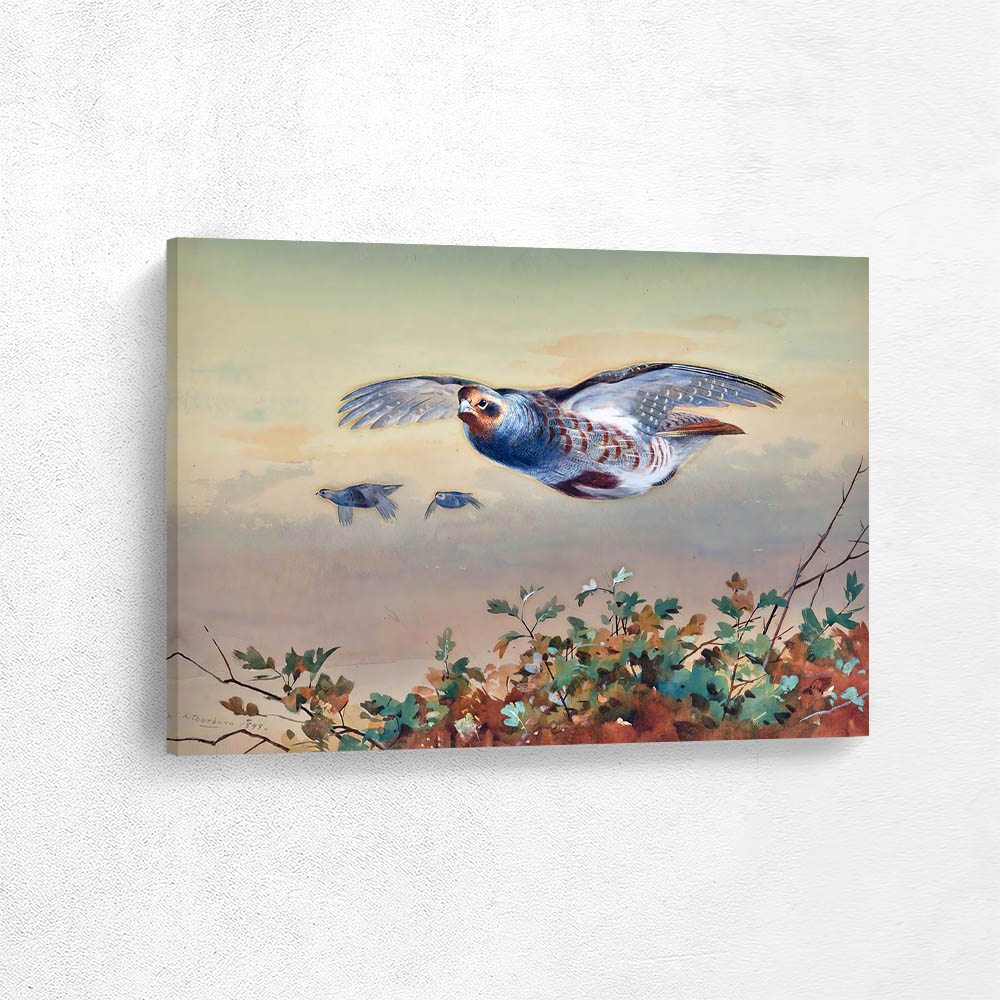 Partridge In Flight 