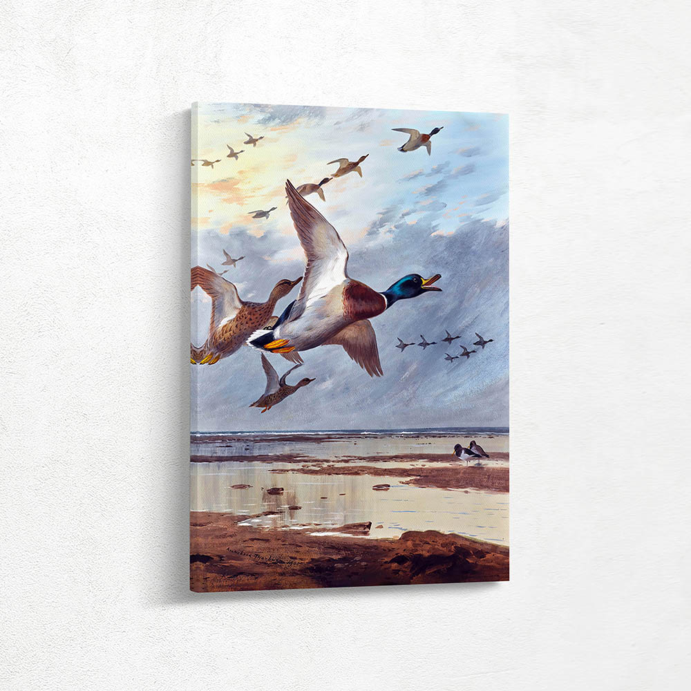 Coming In From The Sea