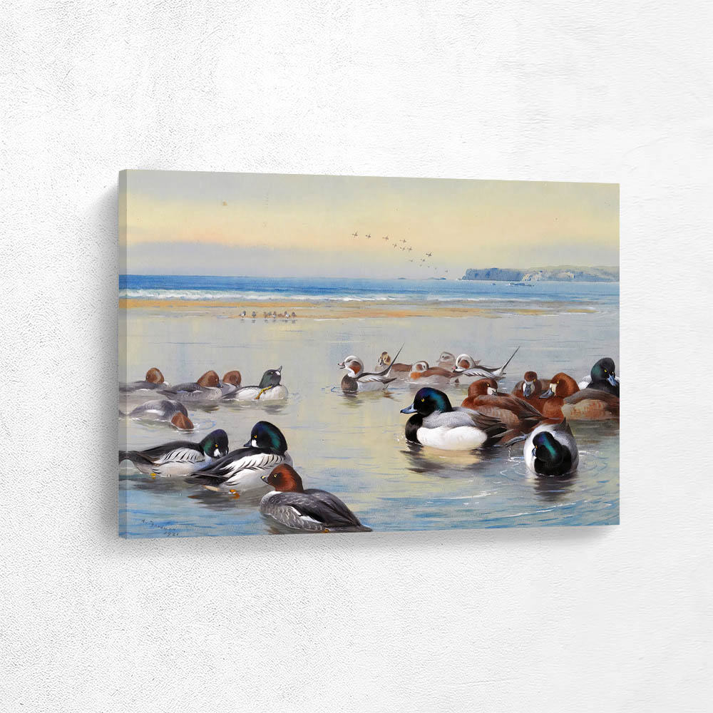 Ducks Along The Shoreline