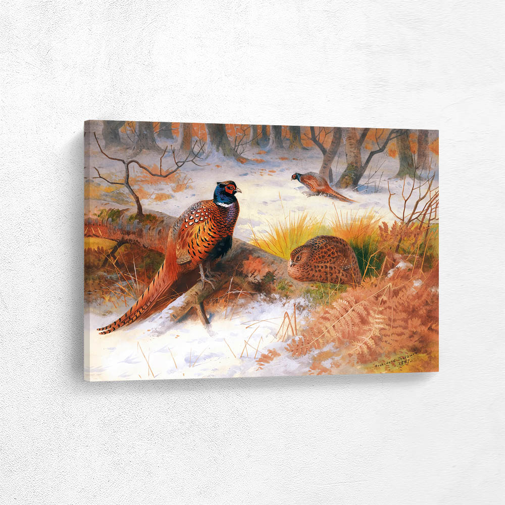 Pheasants In The Snow