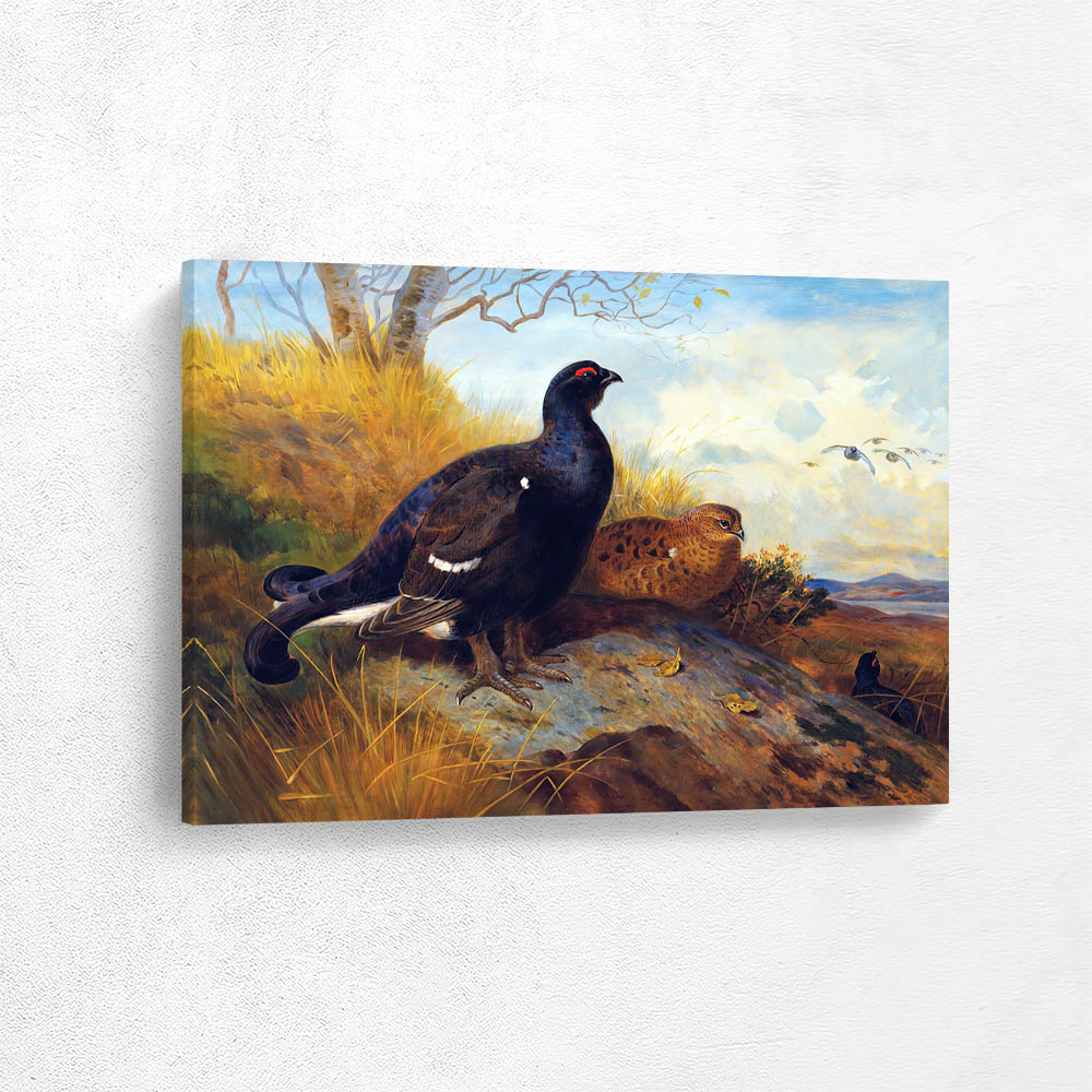 Blackgame on a Rocky Outcrop with a Loch Beyond