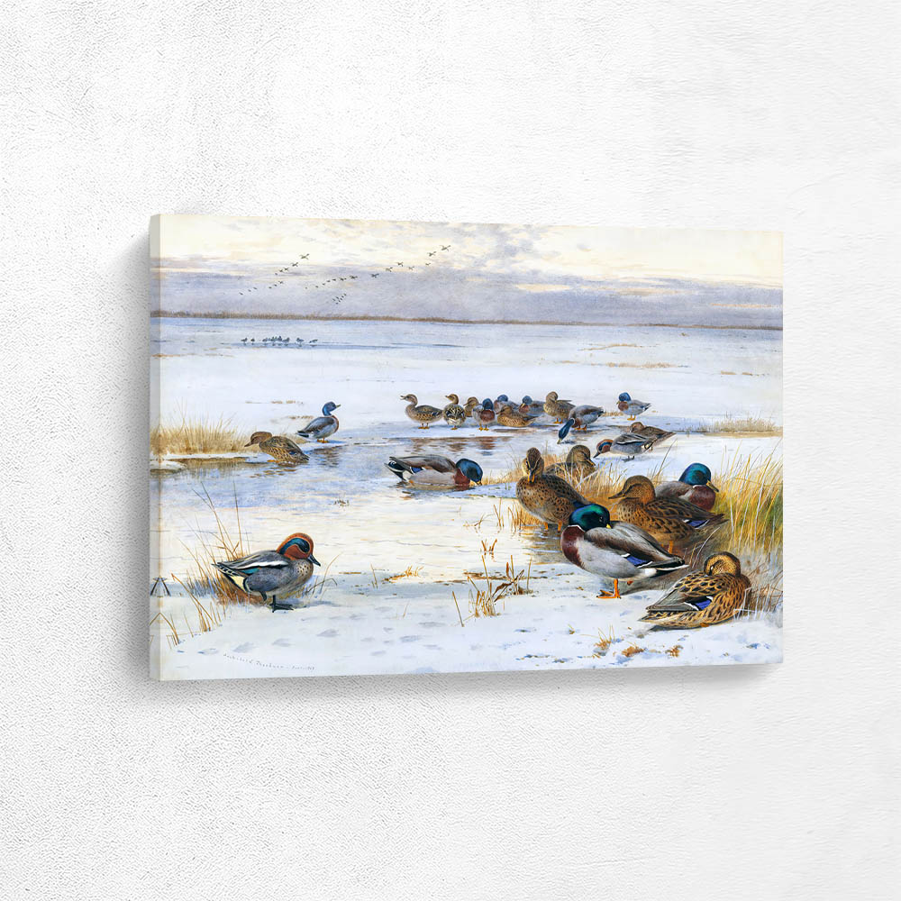 Mallard and Teal on a Snowy Marsh