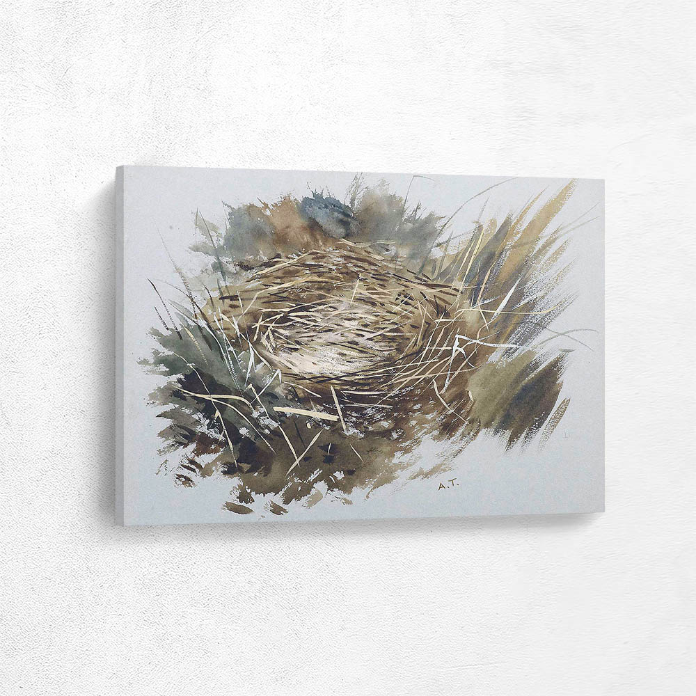 Study of Birds Nest