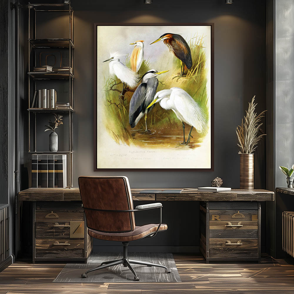 Herons and Egret - Image 3