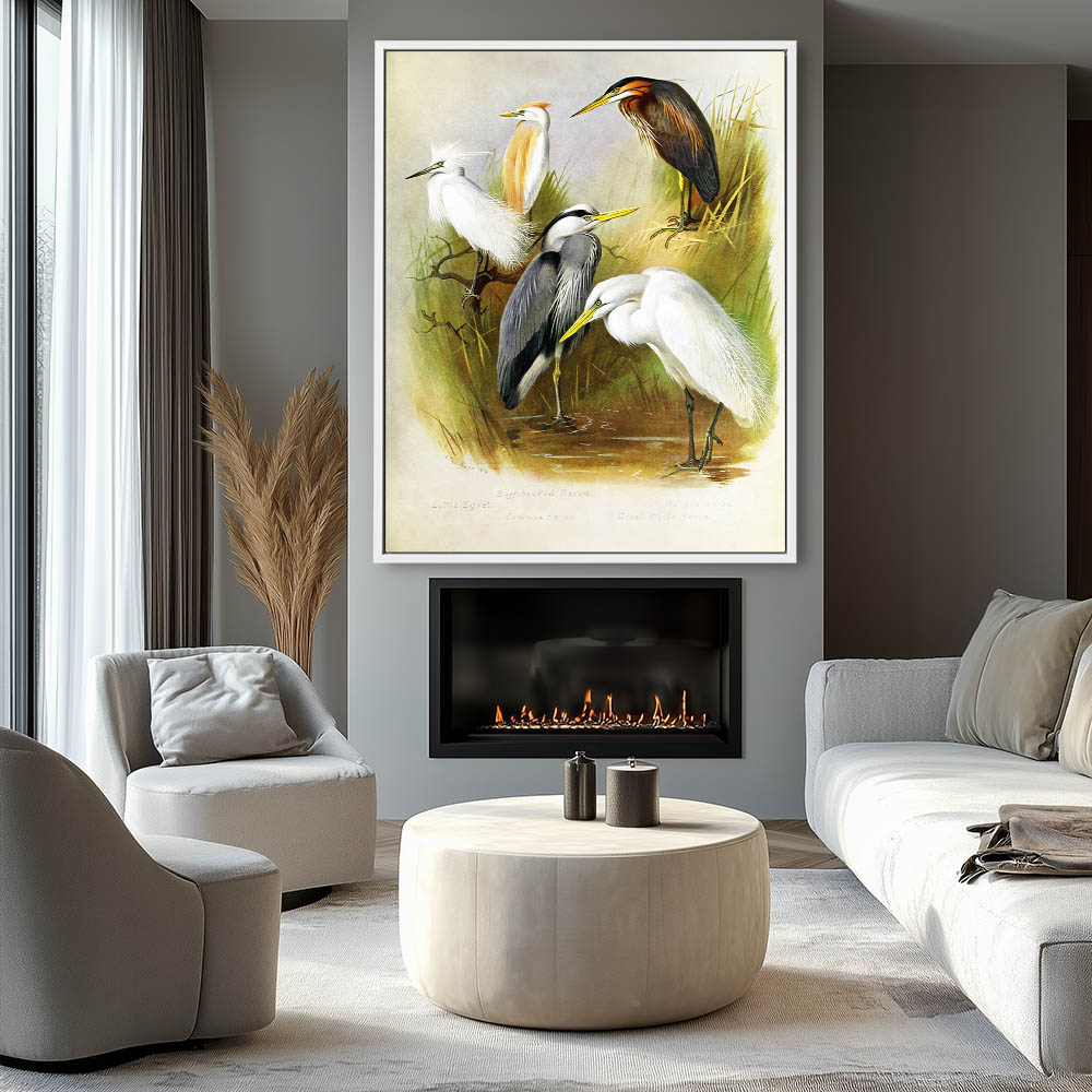 Herons and Egret - Image 4