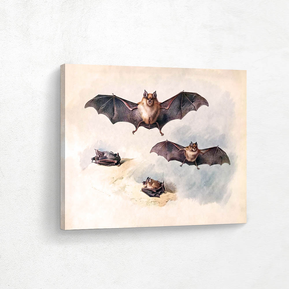 Greater and Lesser Horseshoe Bats