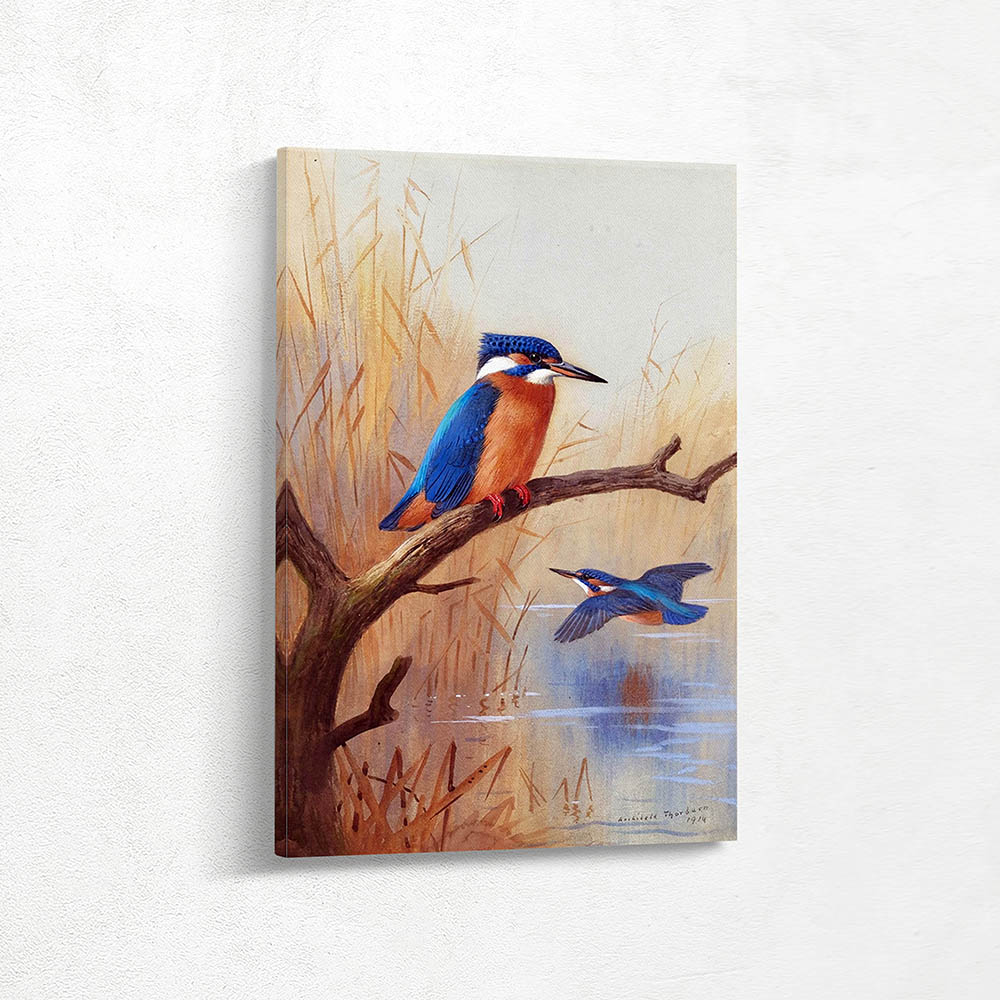 A Pair of Kingfishers