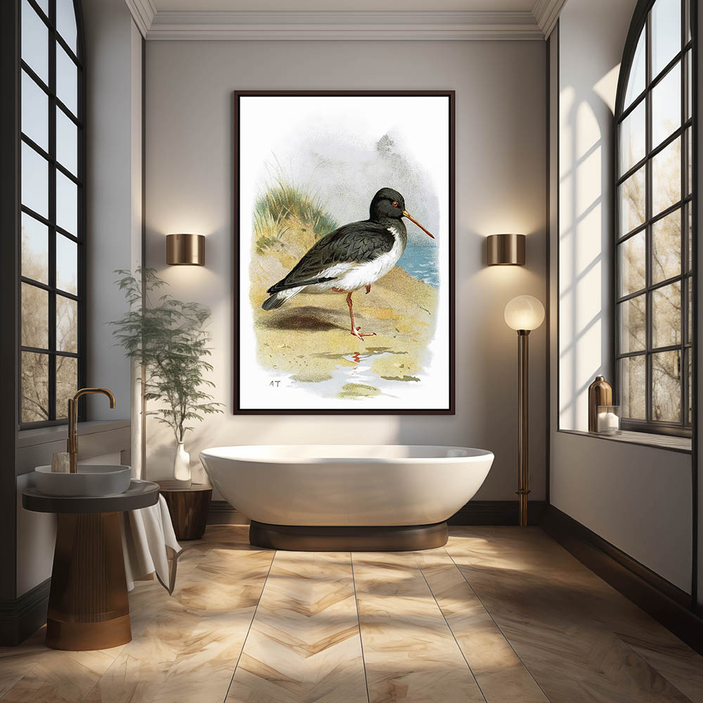 Oyster catcher - Image 3