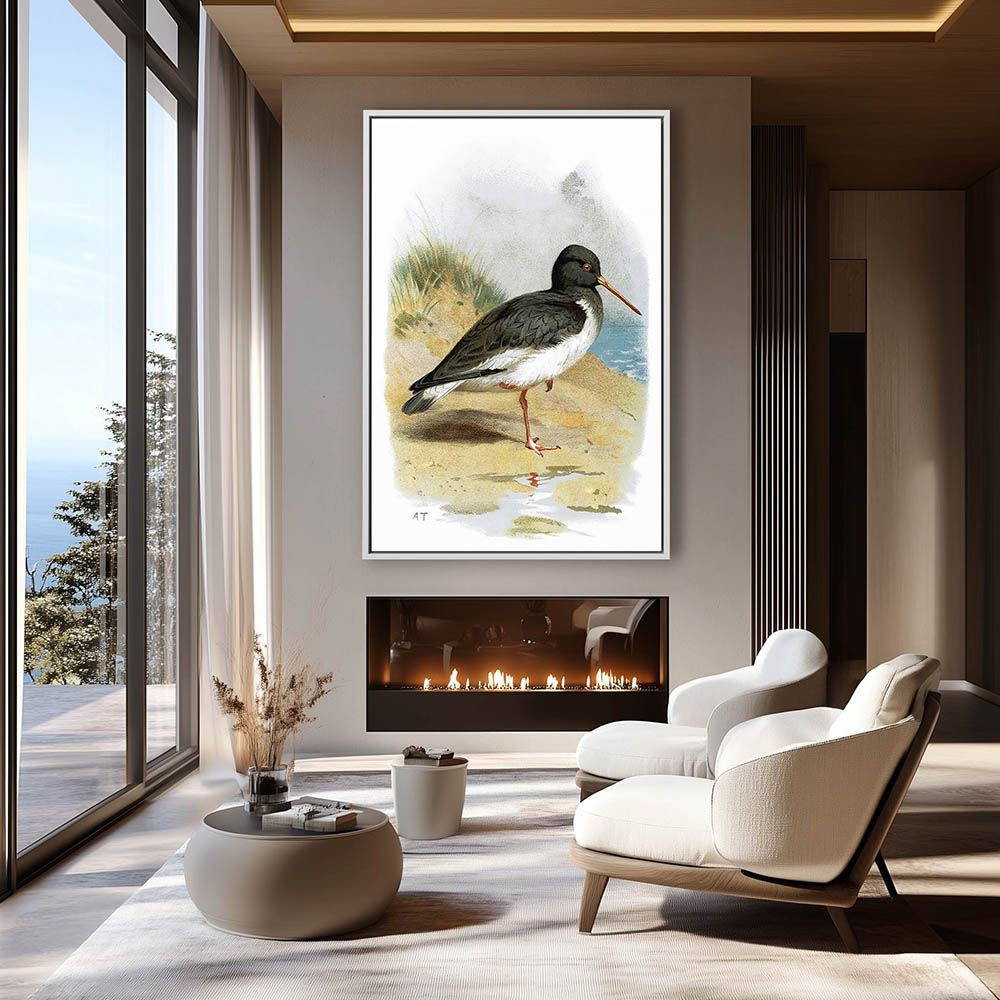 Oyster catcher - Image 4