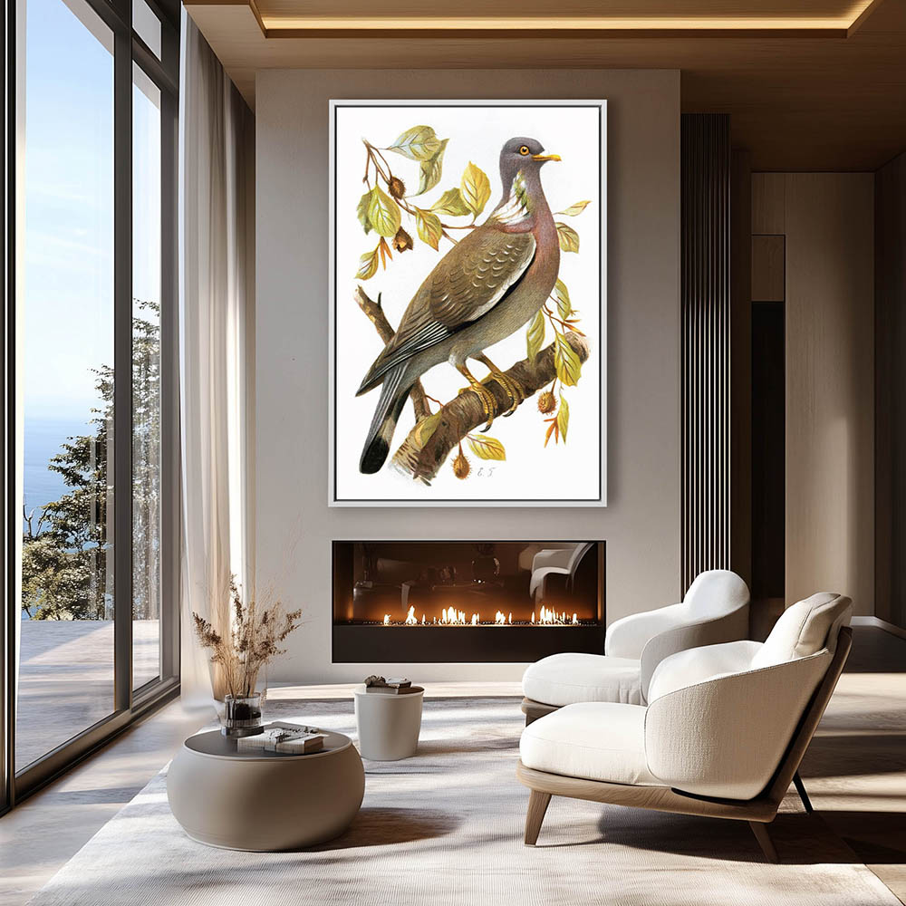 Ringdove - Image 4