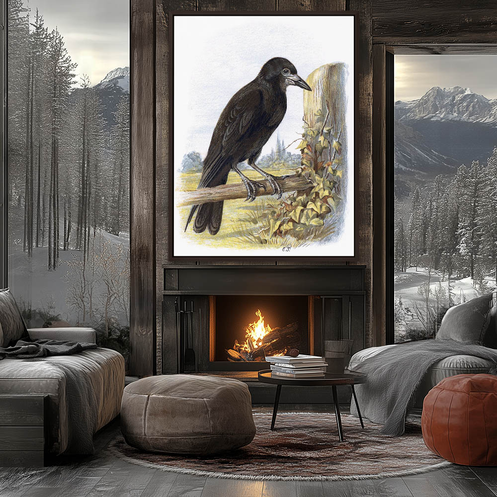 White Billed Crow - Image 3