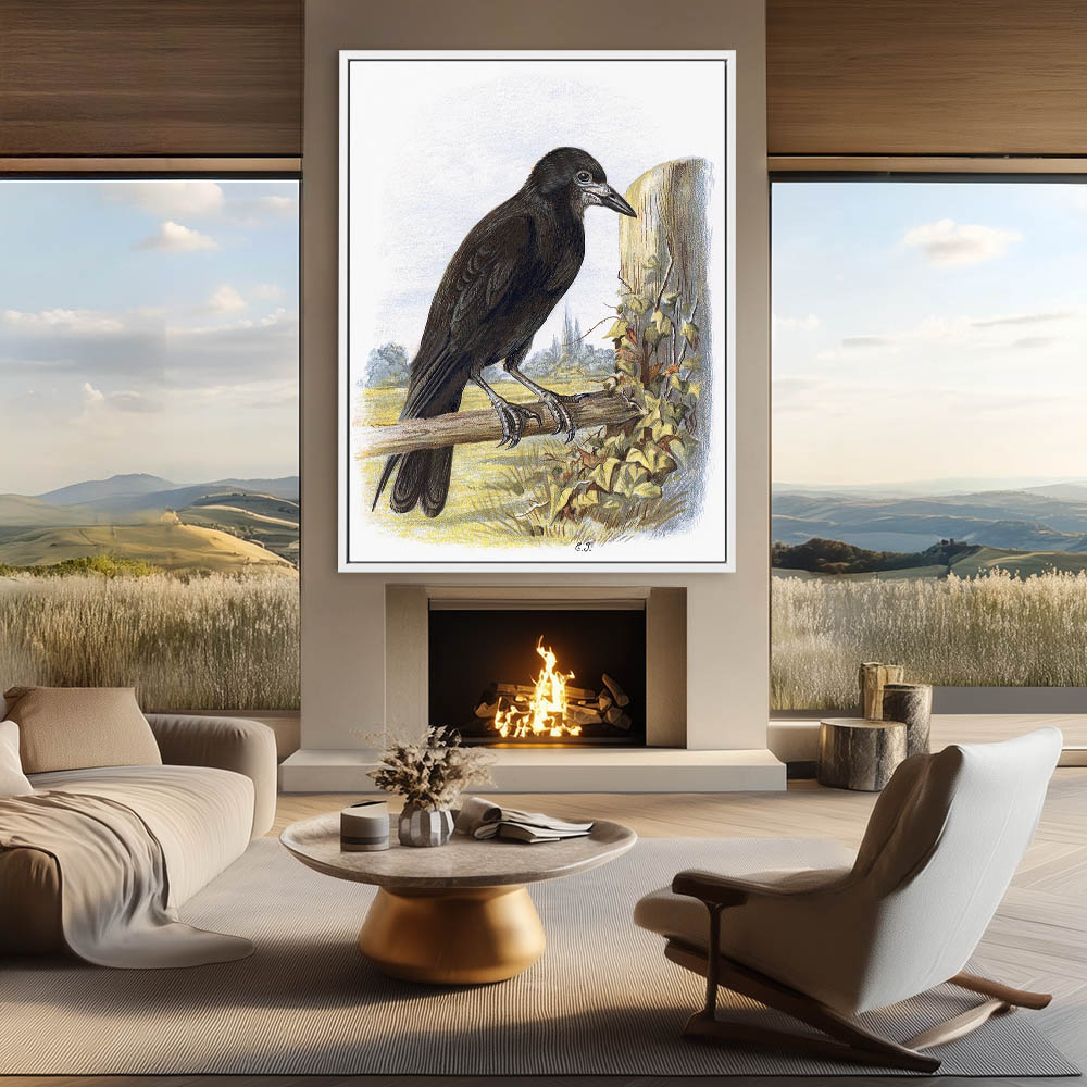 White Billed Crow - Image 4