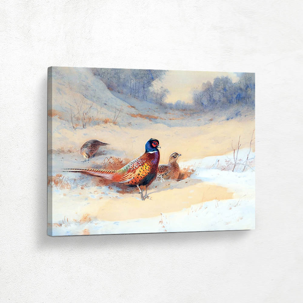 Pheasants in the Snow