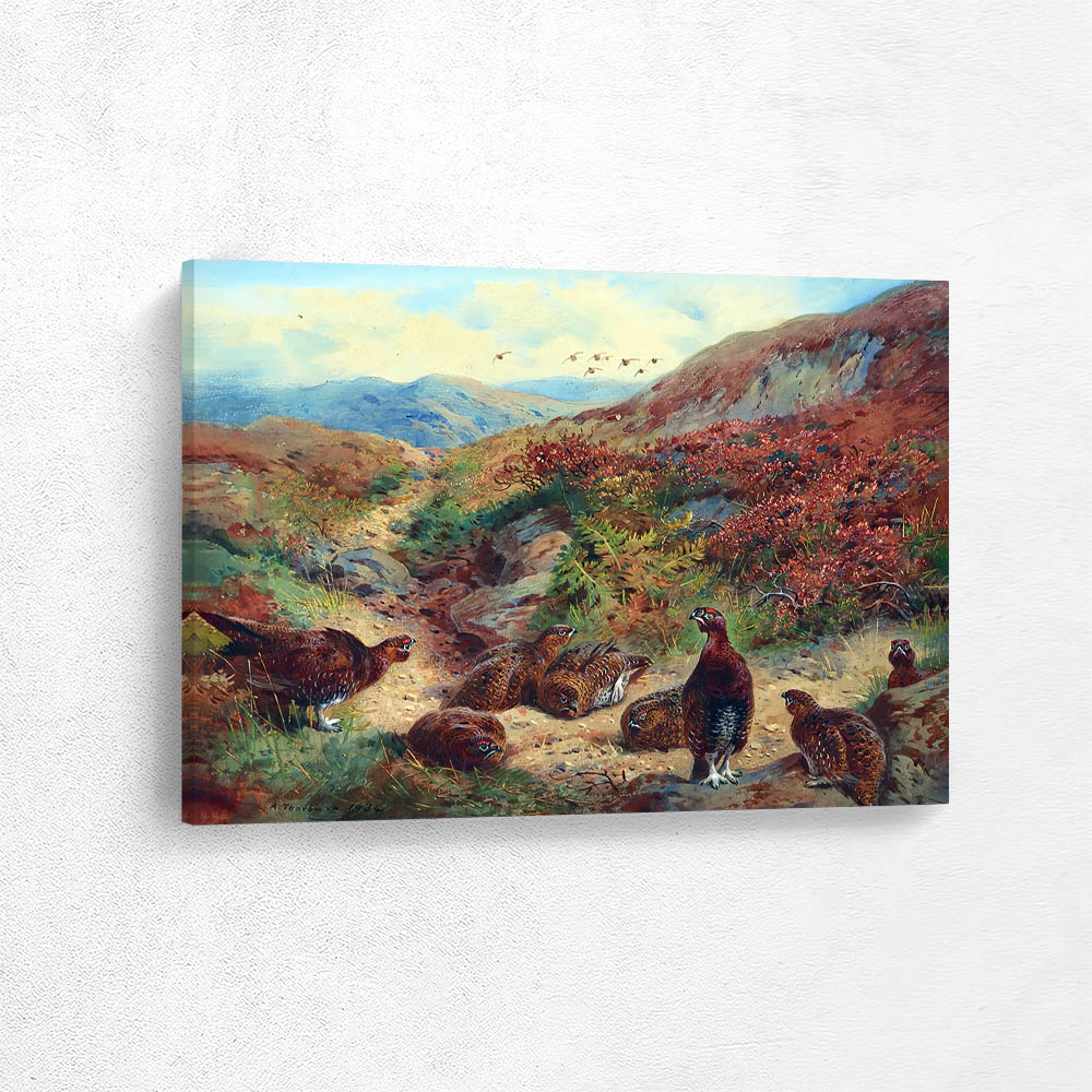 A Covey of Grouse Amongst the Bracken