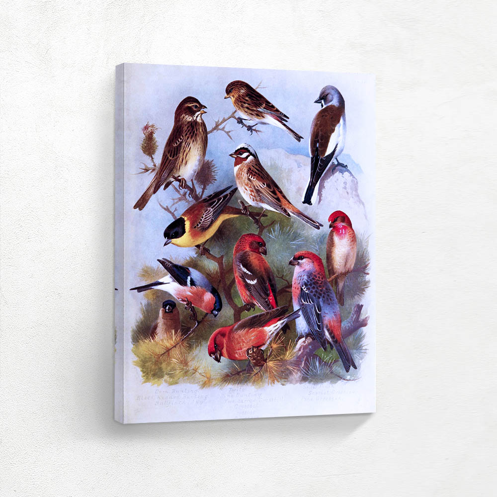 Multiple Birds