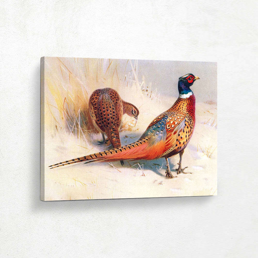 Cock and Hen Pheasant