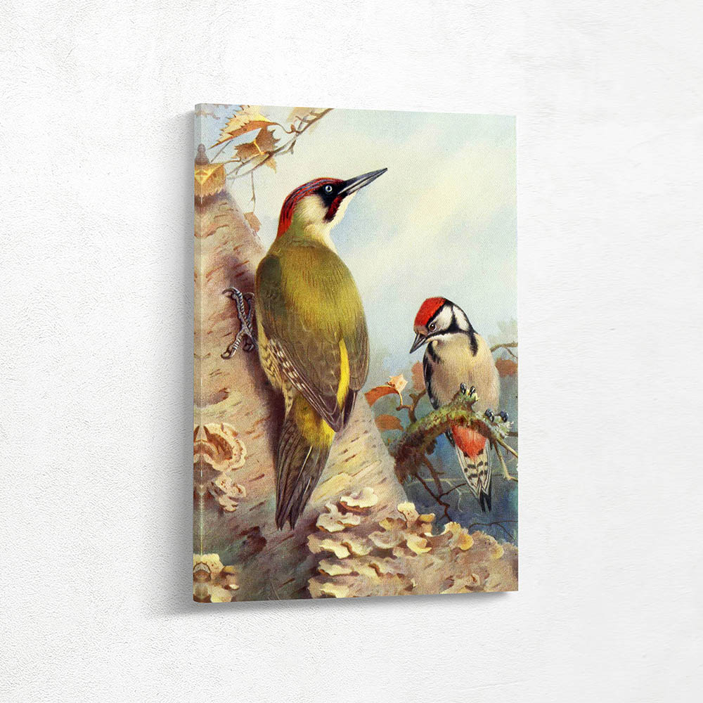Green Woodpecker and Great Spotted Woodpecker
