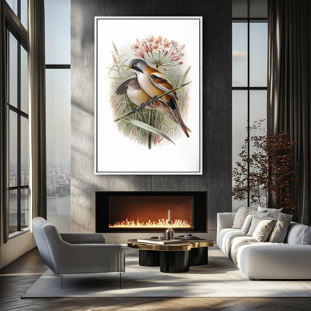 Bearded Reedling - Image 4