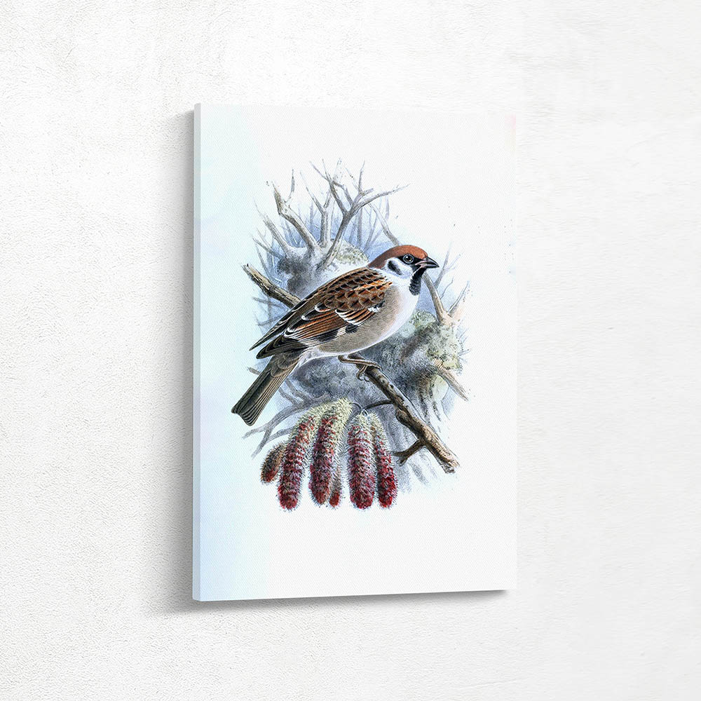 Sparrow