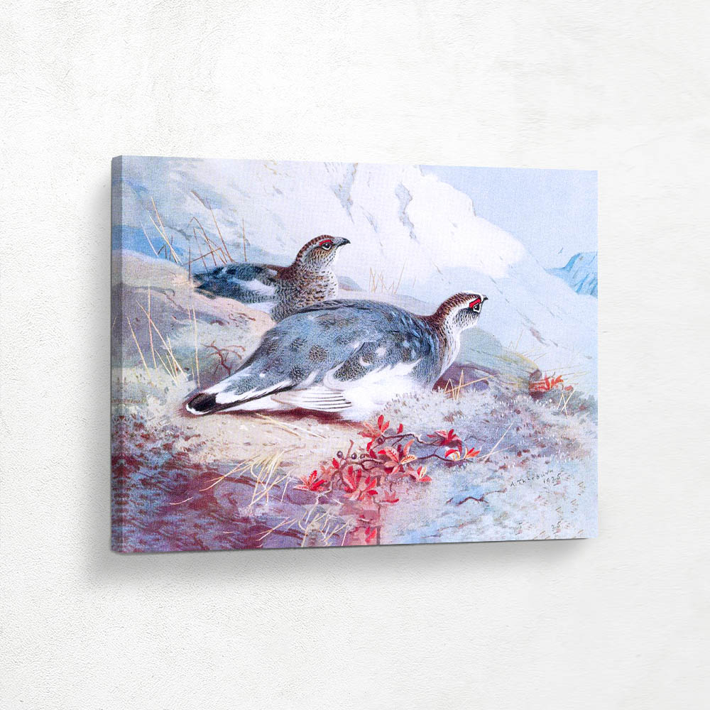 Ptarmigan Male and Female Winter