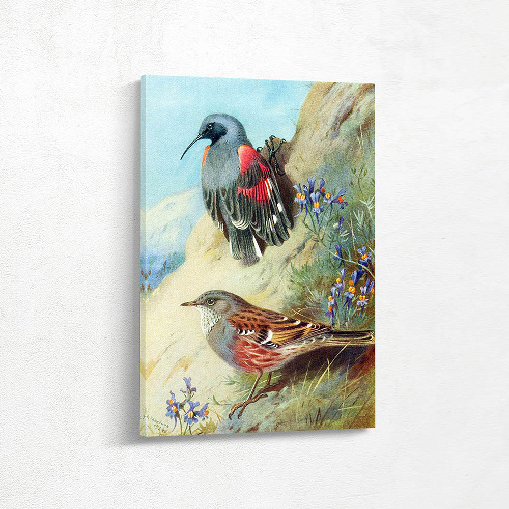 Birds on the Ground in the Flowers