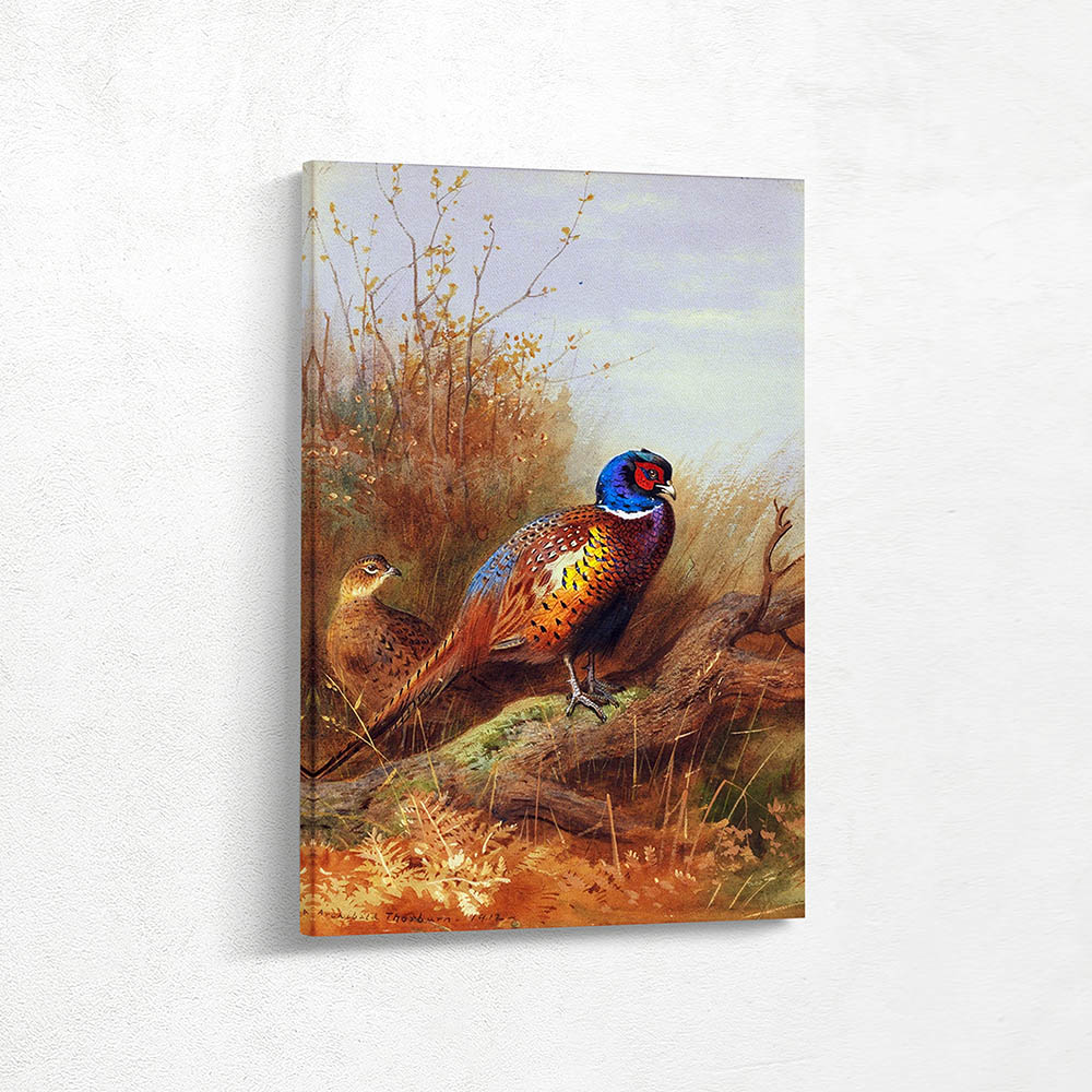 Cock and Hen Pheasant