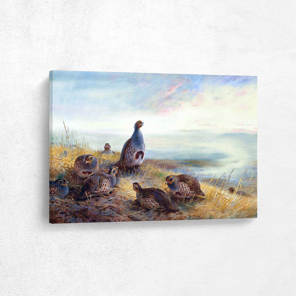 The Covey at Sunrise Partridge