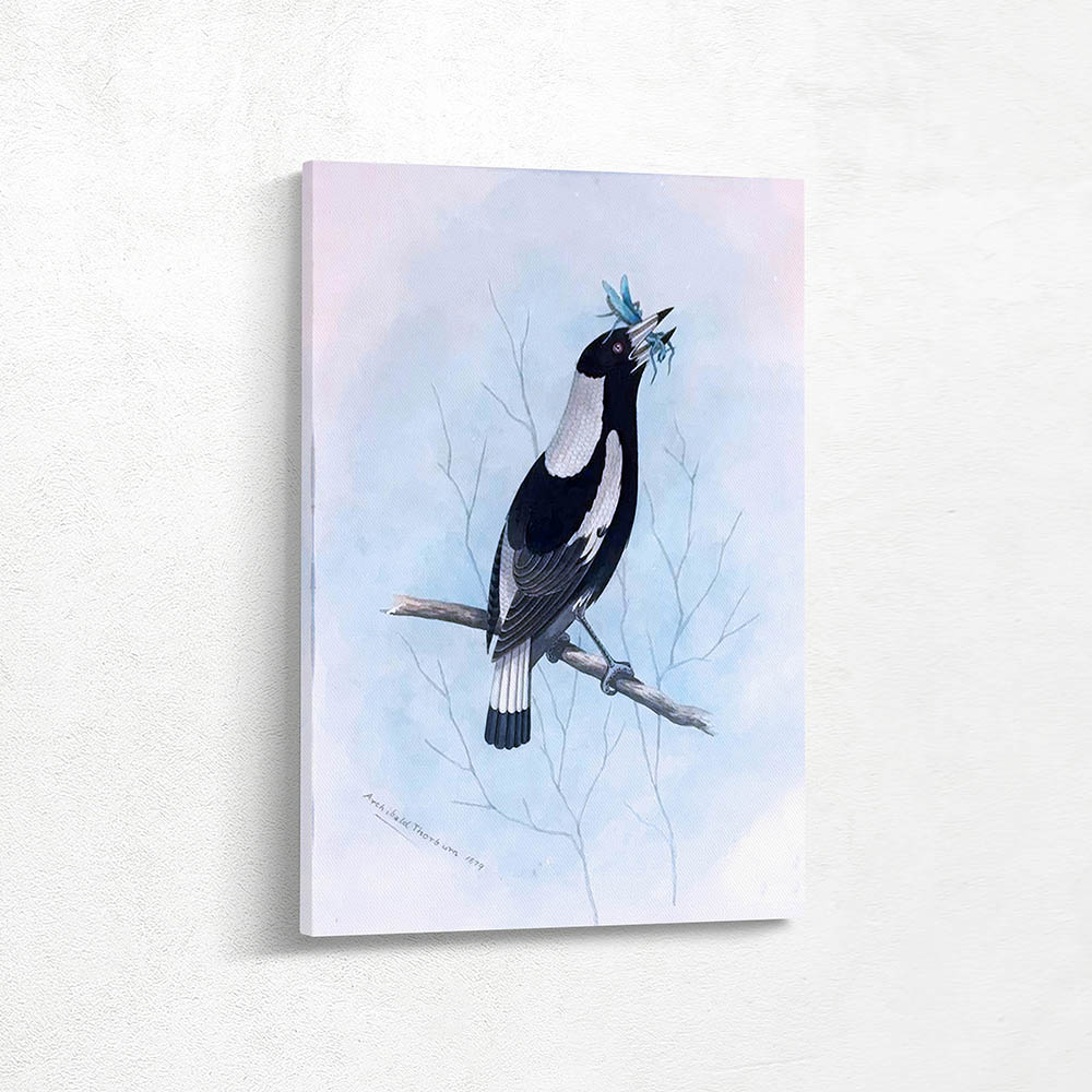 Magpie with Grasshopper
