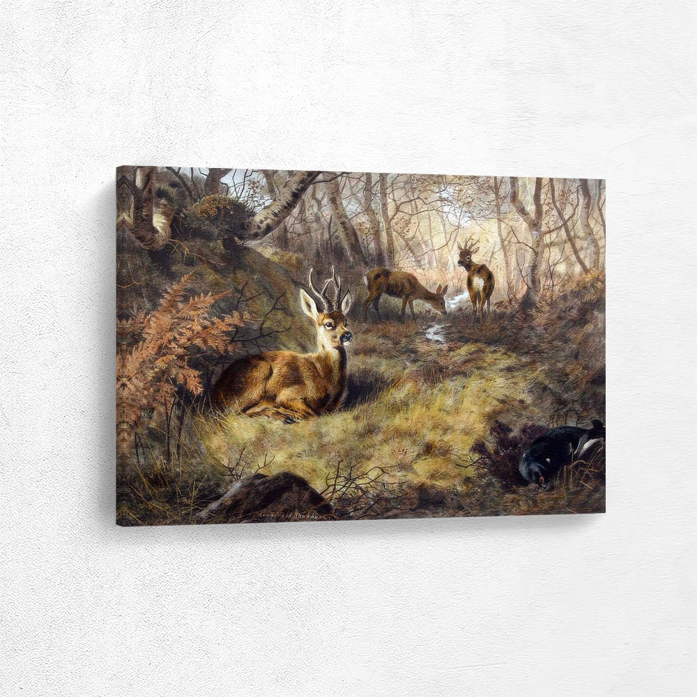 Deer by a Woodland Stream Red Deer in the Highlands