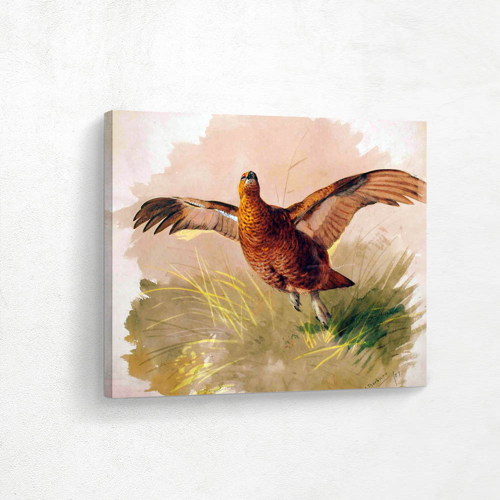 Study of a Grouse
