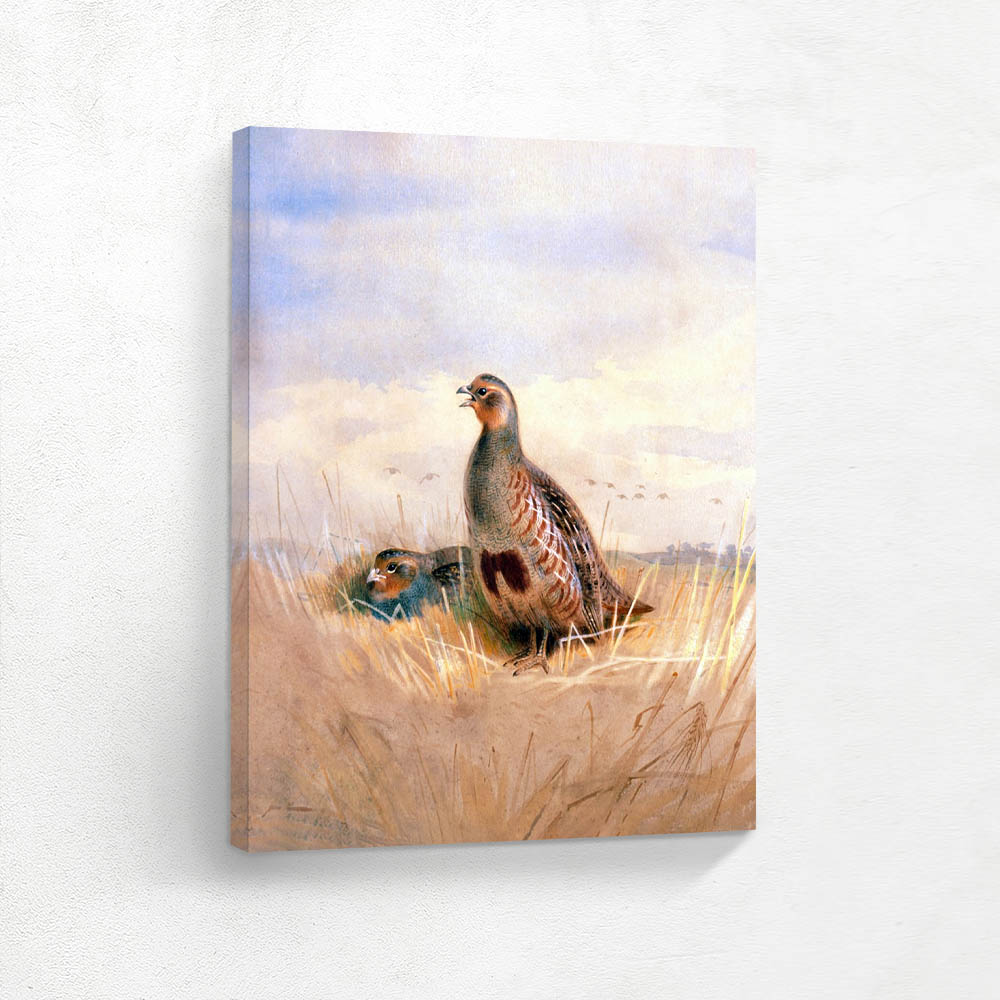 Two English Partridges