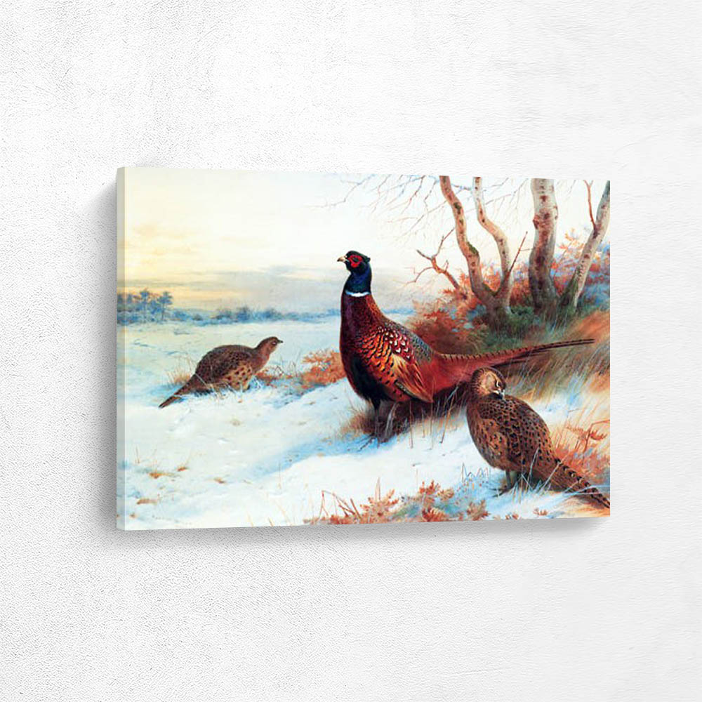 Cock and Two Hen Pheasants