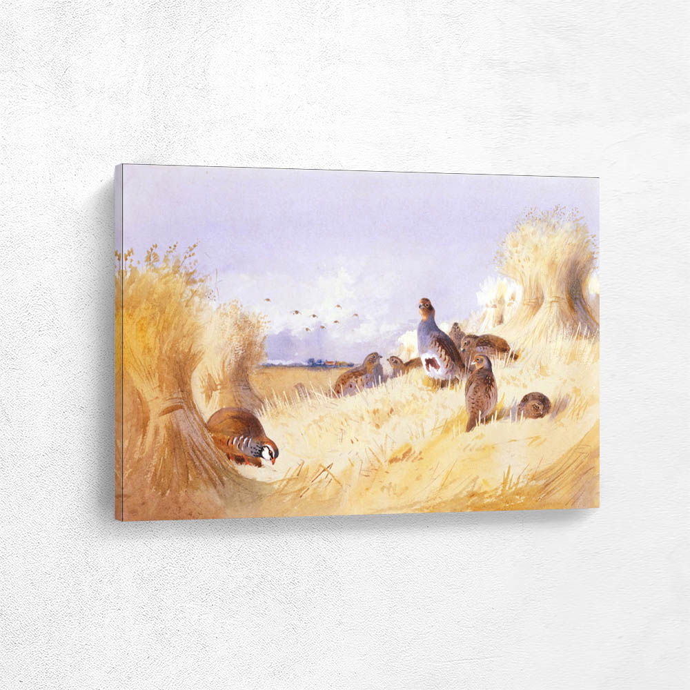 Red Legged Patridge and Covey of Grey Patridges by Corn Stooks