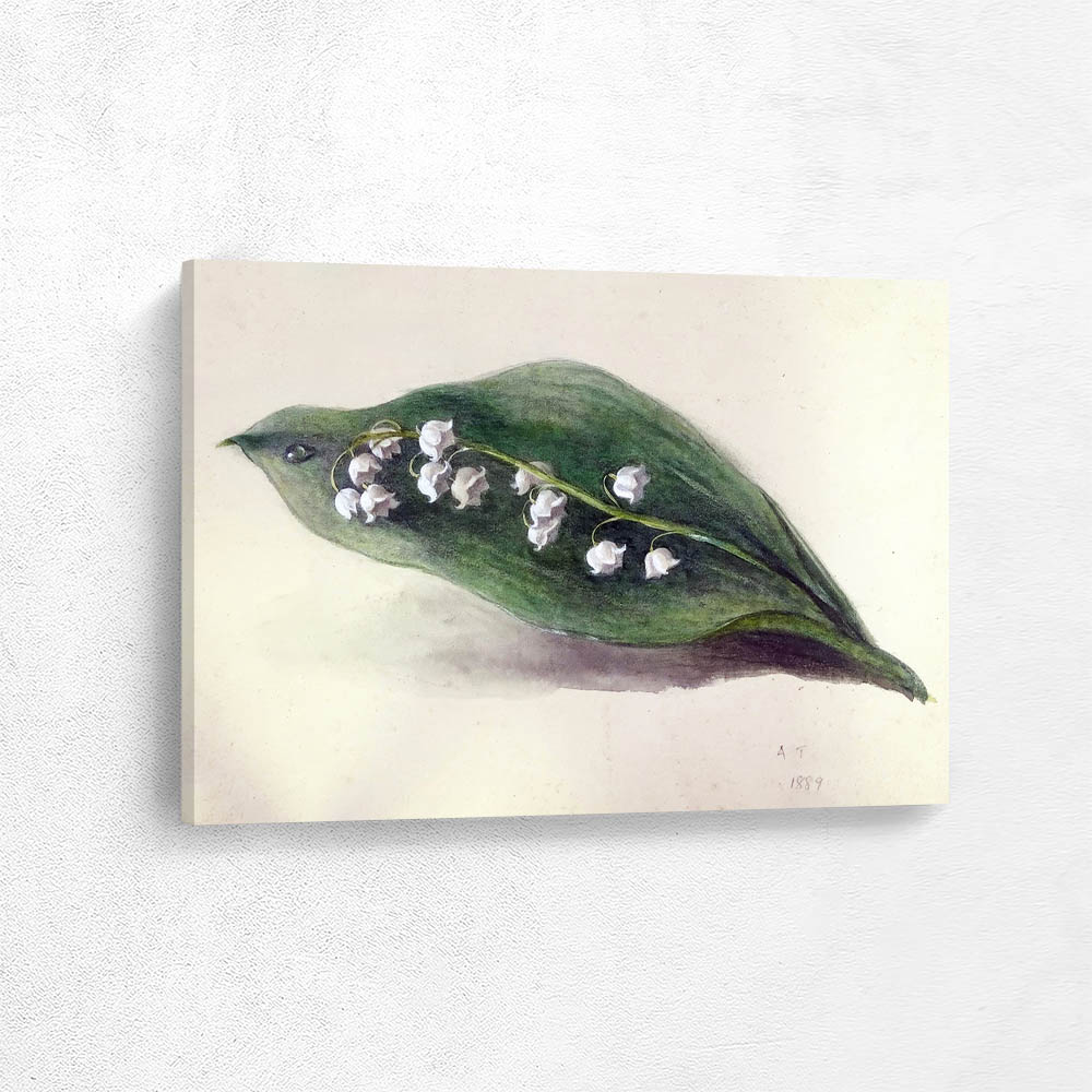 Lily of the Valley