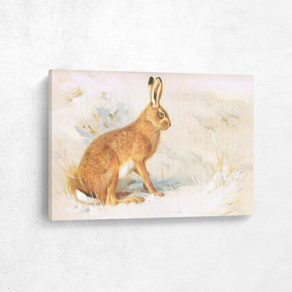 The Hare