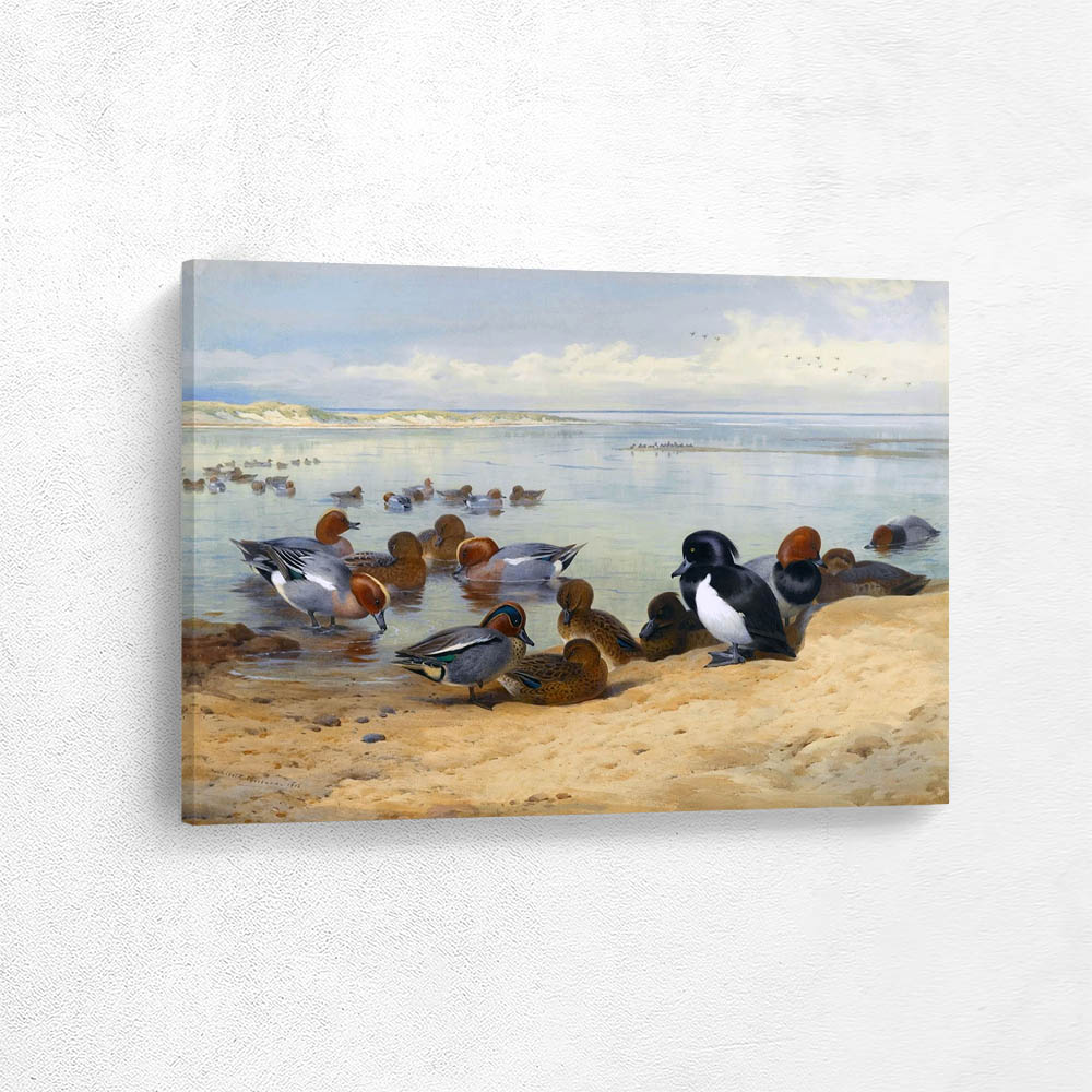 Wigeon and Teal by the Waters Edge