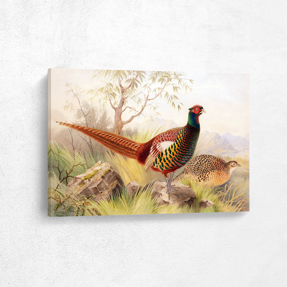 Sporting Scene of Pheasants