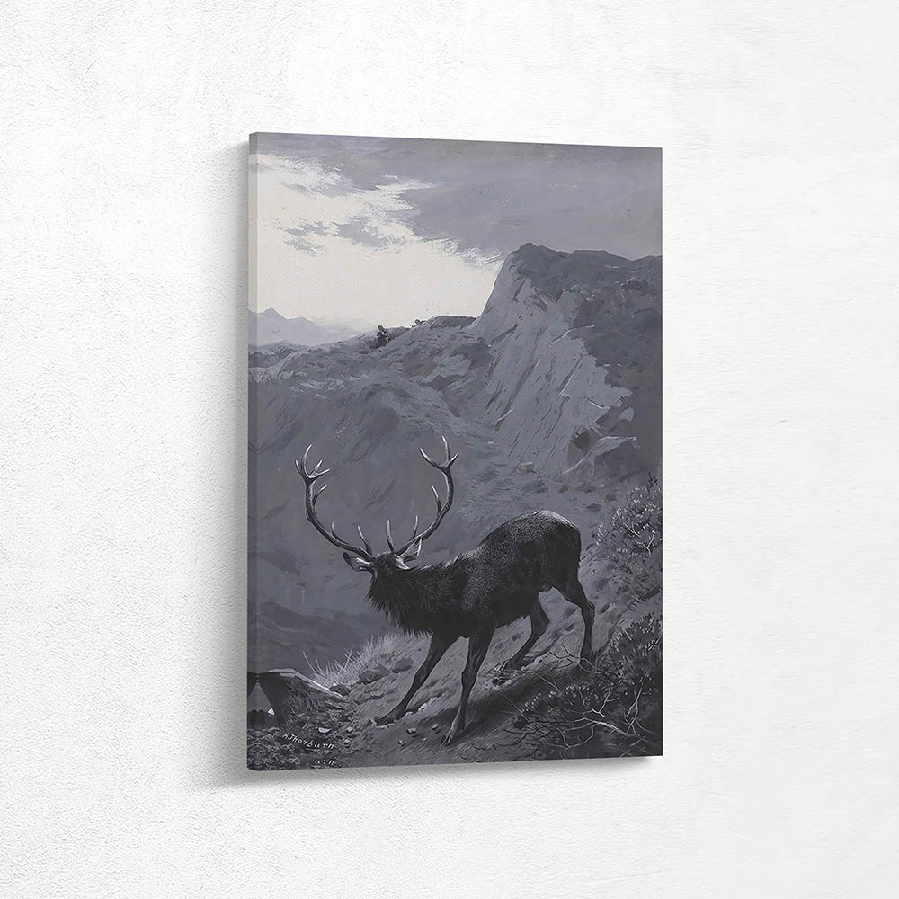 The Thirteen Pointer