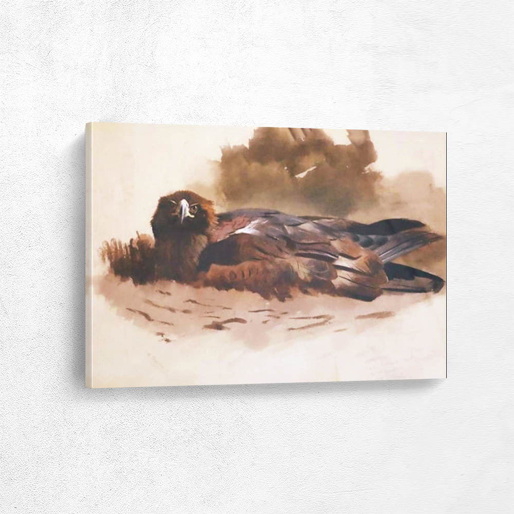 Eagle Sitting on the Nest