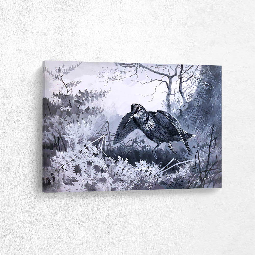 Woodcock Dropping into Cover