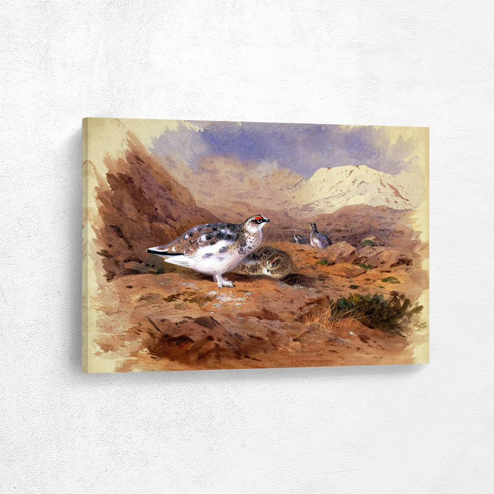 Ptarmigan in a Highland Landscape
