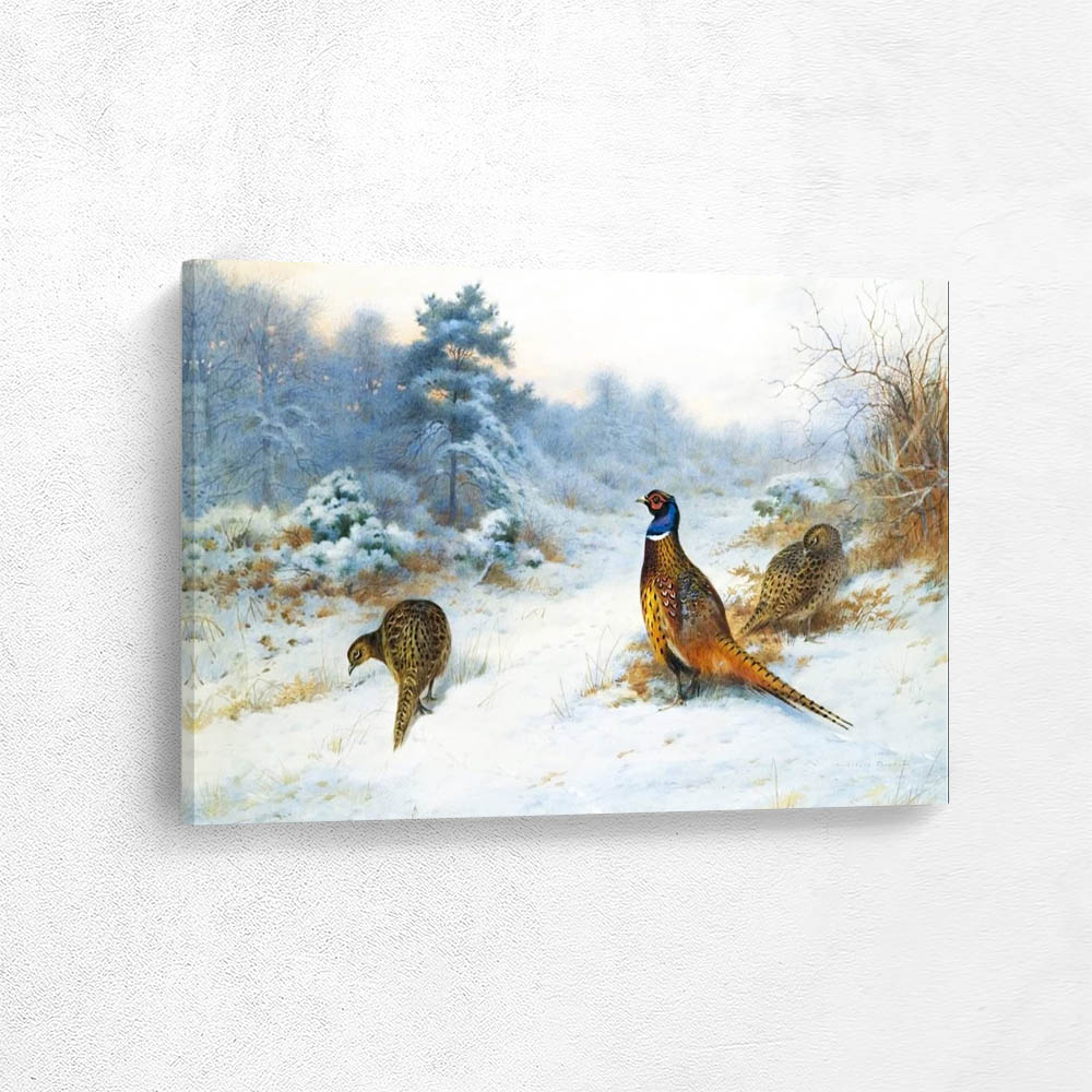 Winters Sunset Pheasants In The Snow