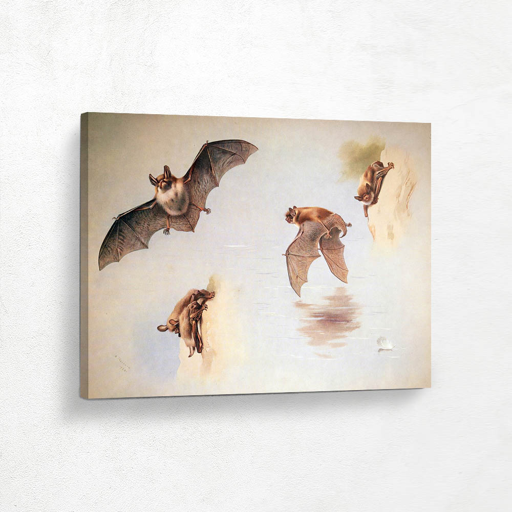 Natterers and Daubentons Bat