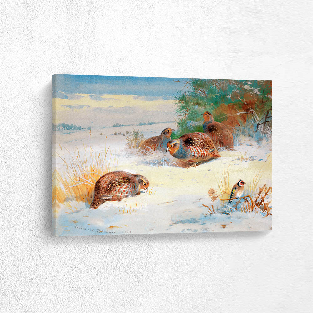 Partridge and a Goldfinch