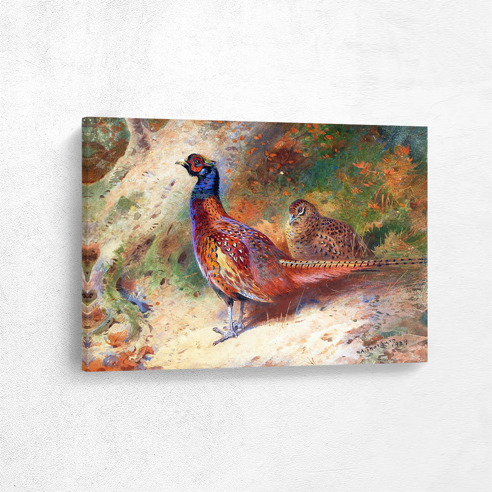  A Cock and Hen Pheasant in a Thicket  A Cock and Hen Pheasant in a Thicket