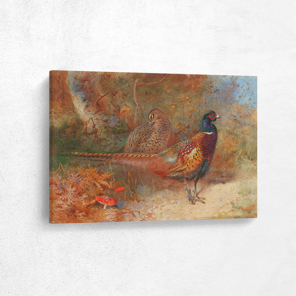 A Cock and Hen Pheasant A Cock and Hen Pheasant