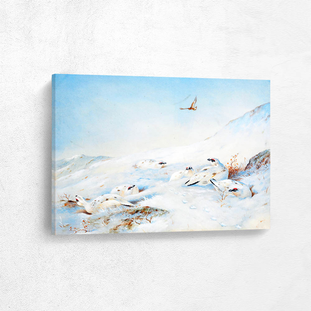 Grouse Watching the Sky