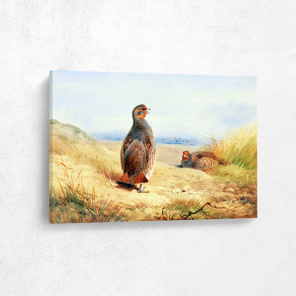 Partridge in a Landscape