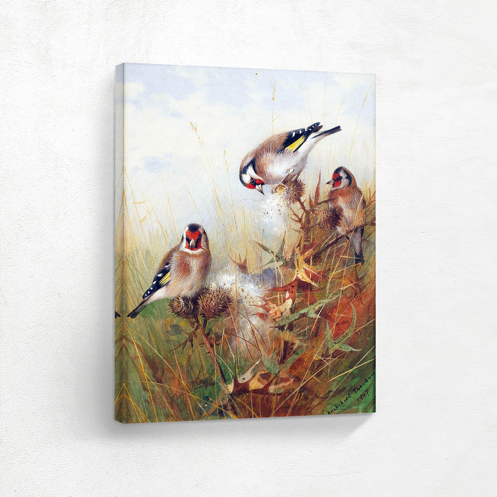Goldfinches